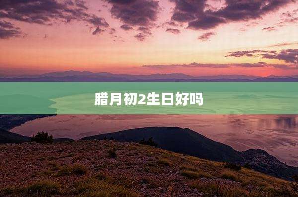 腊月初2生日好吗