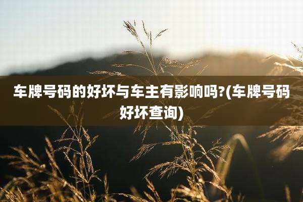 车牌号码的好坏与车主有影响吗?(车牌号码好坏查询)