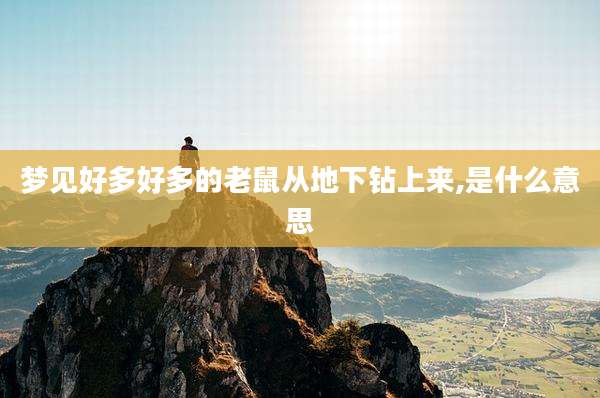 梦见好多好多的老鼠从地下钻上来,是什么意思