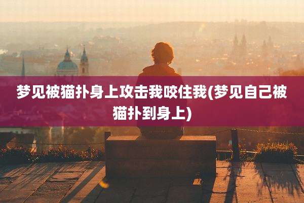 梦见被猫扑身上攻击我咬住我(梦见自己被猫扑到身上)