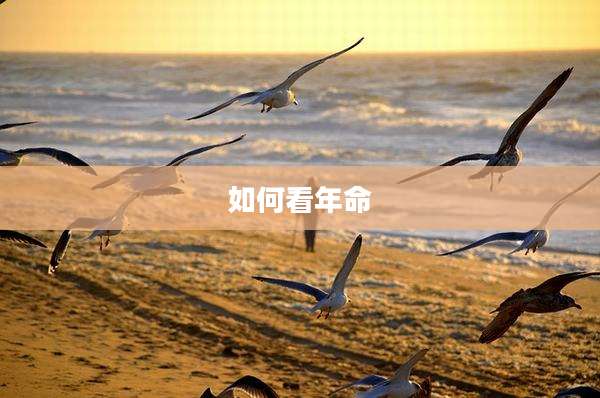 如何看年命