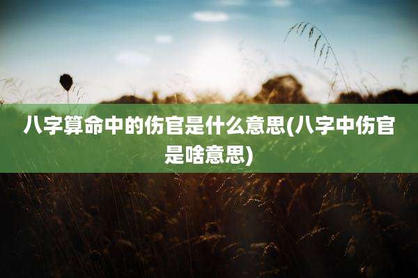 八字算命中的伤官是什么意思(八字中伤官是啥意思)