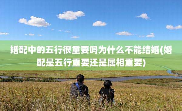 婚配中的五行很重要吗为什么不能结婚(婚配是五行重要还是属相重要)
