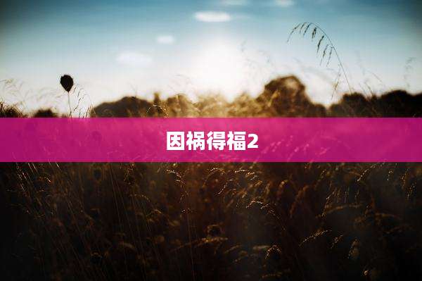 因祸得福2