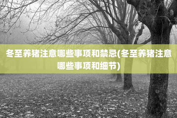 冬至养猪注意哪些事项和禁忌(冬至养猪注意哪些事项和细节)