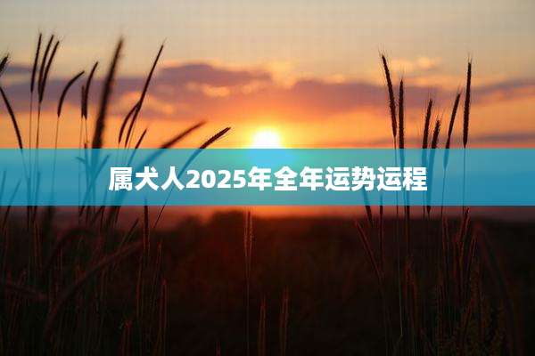 属犬人2025年全年运势运程