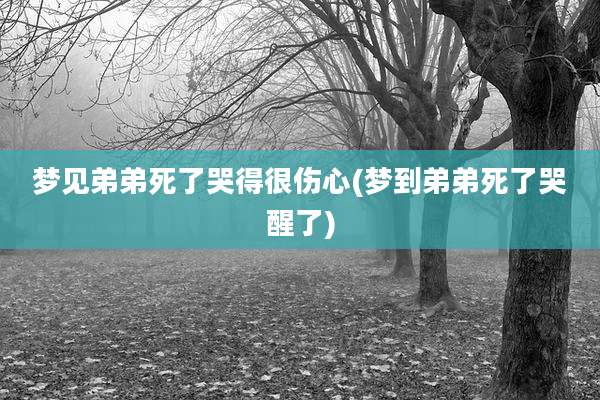 梦见弟弟死了哭得很伤心(梦到弟弟死了哭醒了)