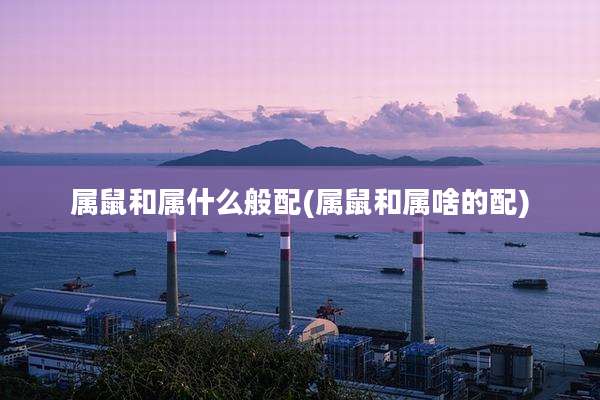 属鼠和属什么般配(属鼠和属啥的配)