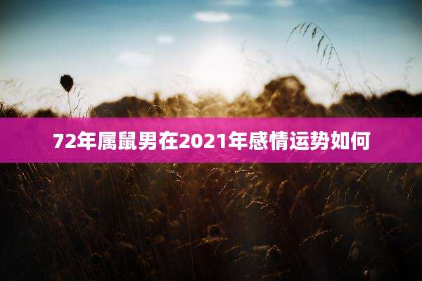 72年属鼠男在2021年感情运势如何