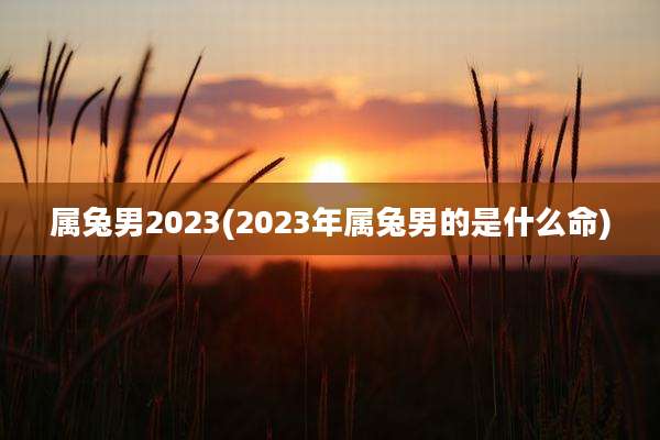 属兔男2023(2023年属兔男的是什么命)