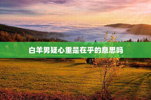 白羊男疑心重是在乎的意思吗