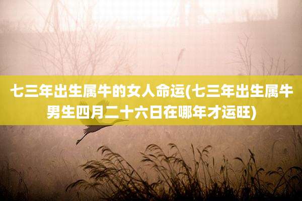 七三年出生属牛的女人命运(七三年出生属牛男生四月二十六日在哪年才运旺)