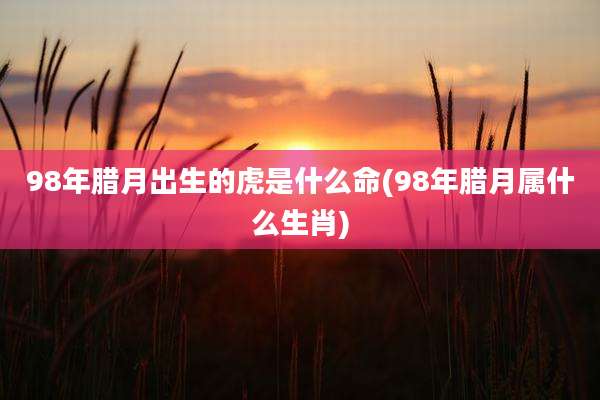 98年腊月出生的虎是什么命(98年腊月属什么生肖)