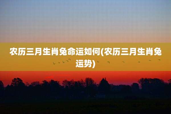 农历三月生肖兔命运如何(农历三月生肖兔运势)