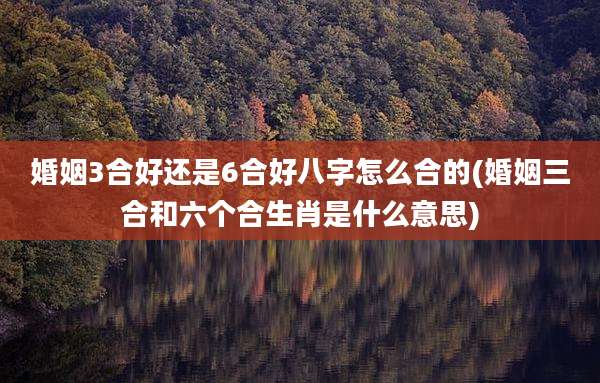 婚姻3合好还是6合好八字怎么合的(婚姻三合和六个合生肖是什么意思)