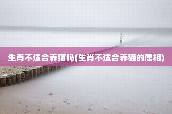 生肖不适合养猫吗(生肖不适合养猫的属相)