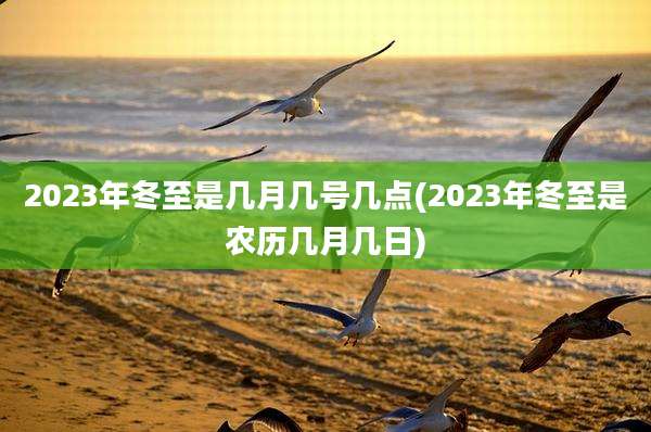 2023年冬至是几月几号几点(2023年冬至是农历几月几日)
