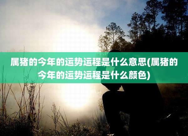 属猪的今年的运势运程是什么意思(属猪的今年的运势运程是什么颜色)