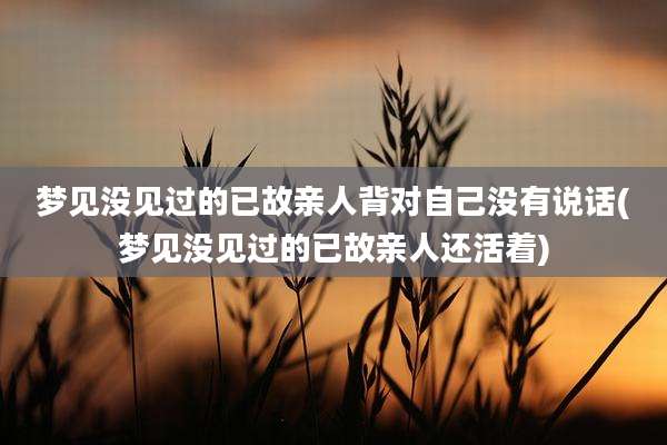 梦见没见过的已故亲人背对自己没有说话(梦见没见过的已故亲人还活着)