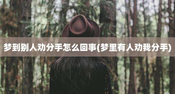 梦到别人劝分手怎么回事(梦里有人劝我分手)