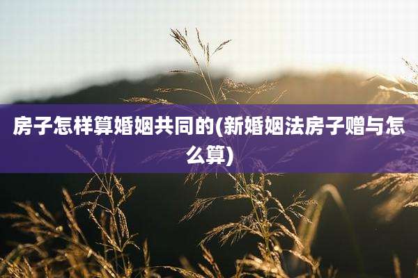 房子怎样算婚姻共同的(新婚姻法房子赠与怎么算)