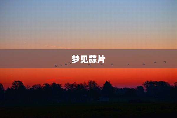 梦见蒜片