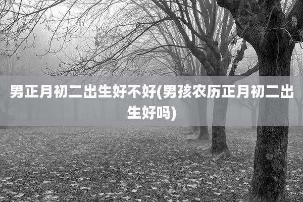 男正月初二出生好不好(男孩农历正月初二出生好吗)