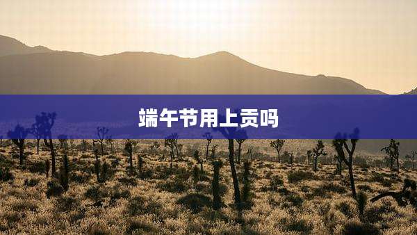 端午节用上贡吗