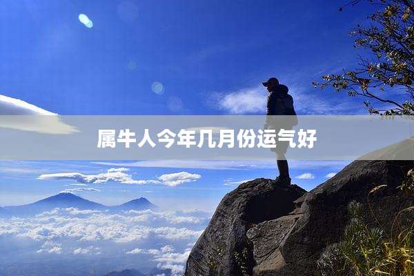 属牛人今年几月份运气好