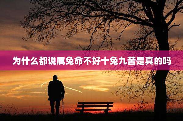 为什么都说属兔命不好十兔九苦是真的吗