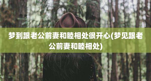 梦到跟老公前妻和睦相处很开心(梦见跟老公前妻和睦相处)