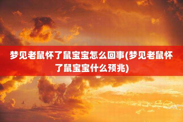 梦见老鼠怀了鼠宝宝怎么回事(梦见老鼠怀了鼠宝宝什么预兆)