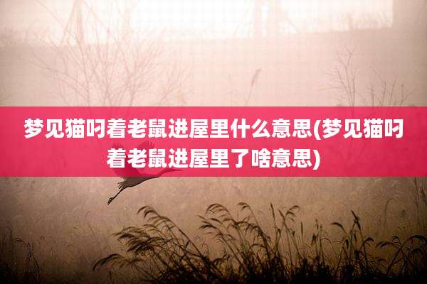 梦见猫叼着老鼠进屋里什么意思(梦见猫叼着老鼠进屋里了啥意思)