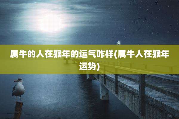 属牛的人在猴年的运气咋样(属牛人在猴年运势)