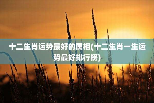 十二生肖运势最好的属相(十二生肖一生运势最好排行榜)
