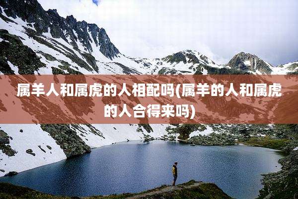 属羊人和属虎的人相配吗(属羊的人和属虎的人合得来吗)