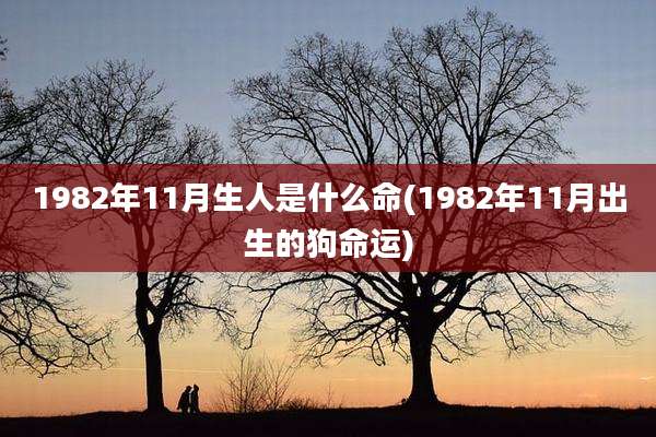 1982年11月生人是什么命(1982年11月出生的狗命运)