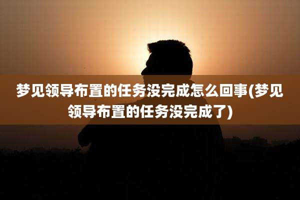 梦见领导布置的任务没完成怎么回事(梦见领导布置的任务没完成了)