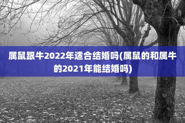 属鼠跟牛2022年适合结婚吗(属鼠的和属牛的2021年能结婚吗)