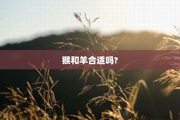 猴和羊合适吗?