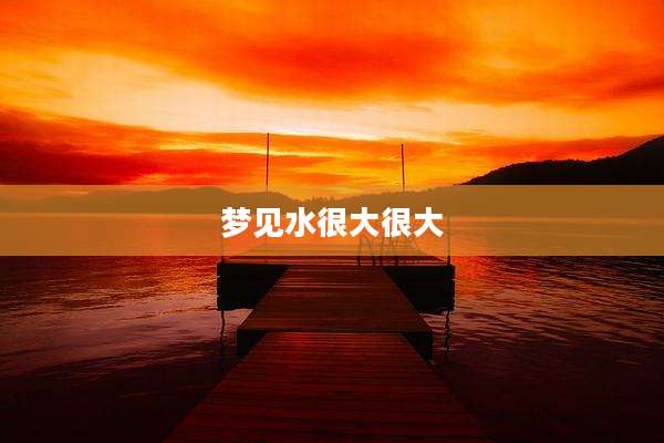 梦见水很大很大