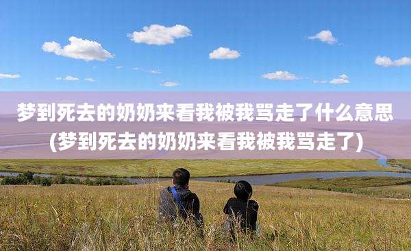 梦到死去的奶奶来看我被我骂走了什么意思(梦到死去的奶奶来看我被我骂走了)