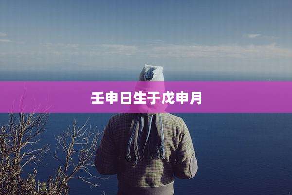 壬申日生于戊申月