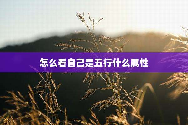 怎么看自己是五行什么属性