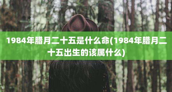 1984年腊月二十五是什么命(1984年腊月二十五出生的该属什么)