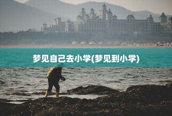 梦见自己去小学(梦见到小学)