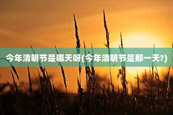 今年清明节是哪天呀(今年清明节是那一天?)