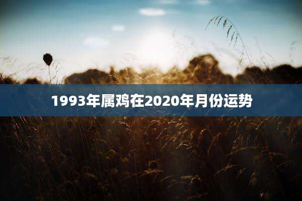 1993年属鸡在2020年月份运势