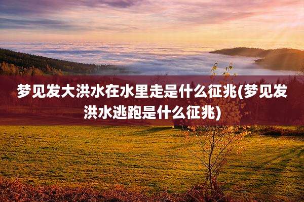 梦见发大洪水在水里走是什么征兆(梦见发洪水逃跑是什么征兆)