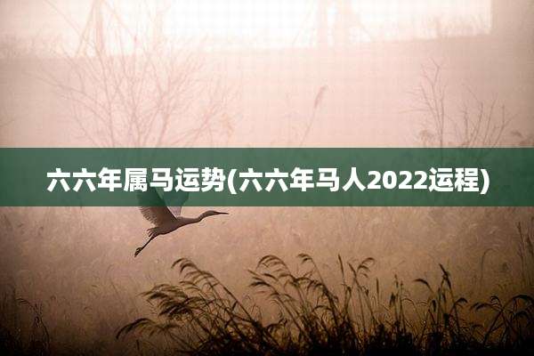 六六年属马运势(六六年马人2022运程)